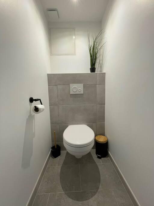 Logement Idealement Situe Sur La Voie Verte Celles-sur-Plaine Buitenkant foto